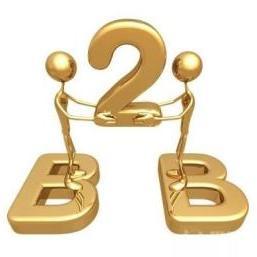 電器輔件B2B電子商務(wù) 機(jī)遇、挑戰(zhàn)與戰(zhàn)略升級(jí)